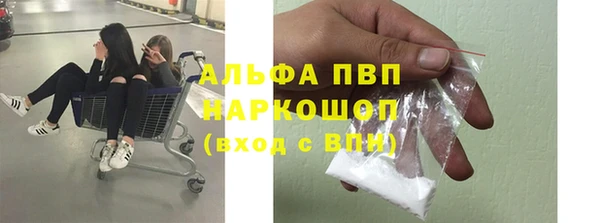 прущий лед Белокуриха