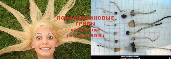 прущий лед Белокуриха