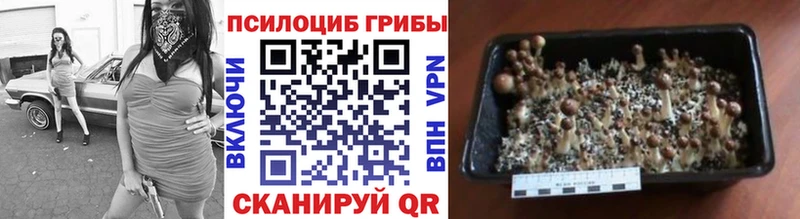 Псилоцибиновые грибы Magic Shrooms Бутурлиновка